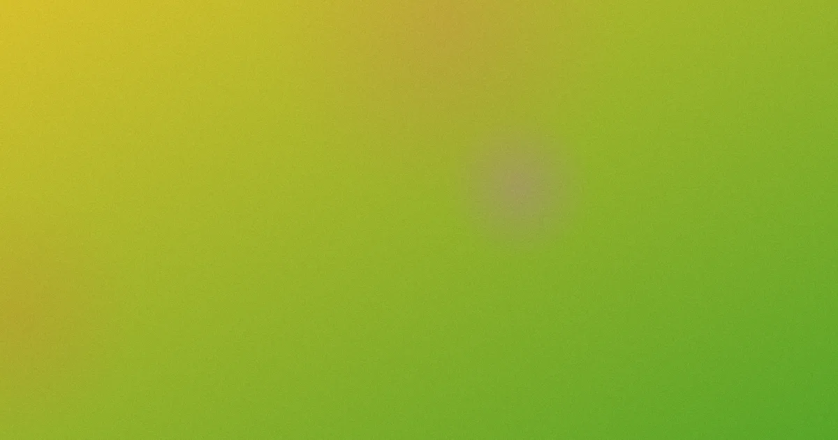 韩国特级毛片值得吗